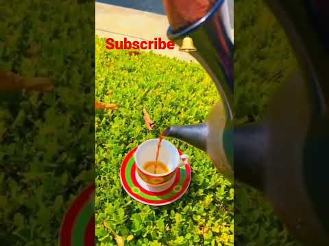 Damma Daamu Suusii Bunaa