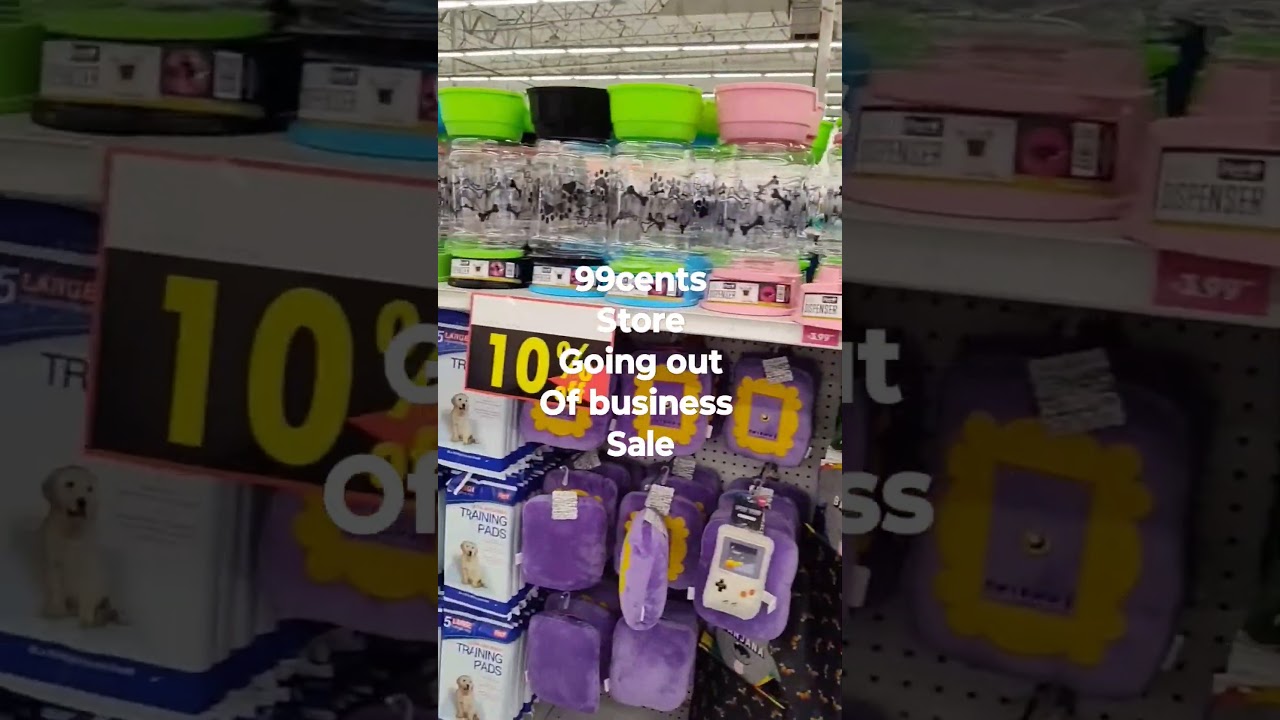 Everything Must Go | Exploring the Final Sale at the 99 Cents Store