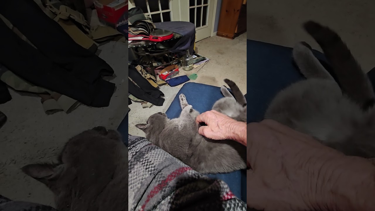 Ole Blue riding out the bitter cold 