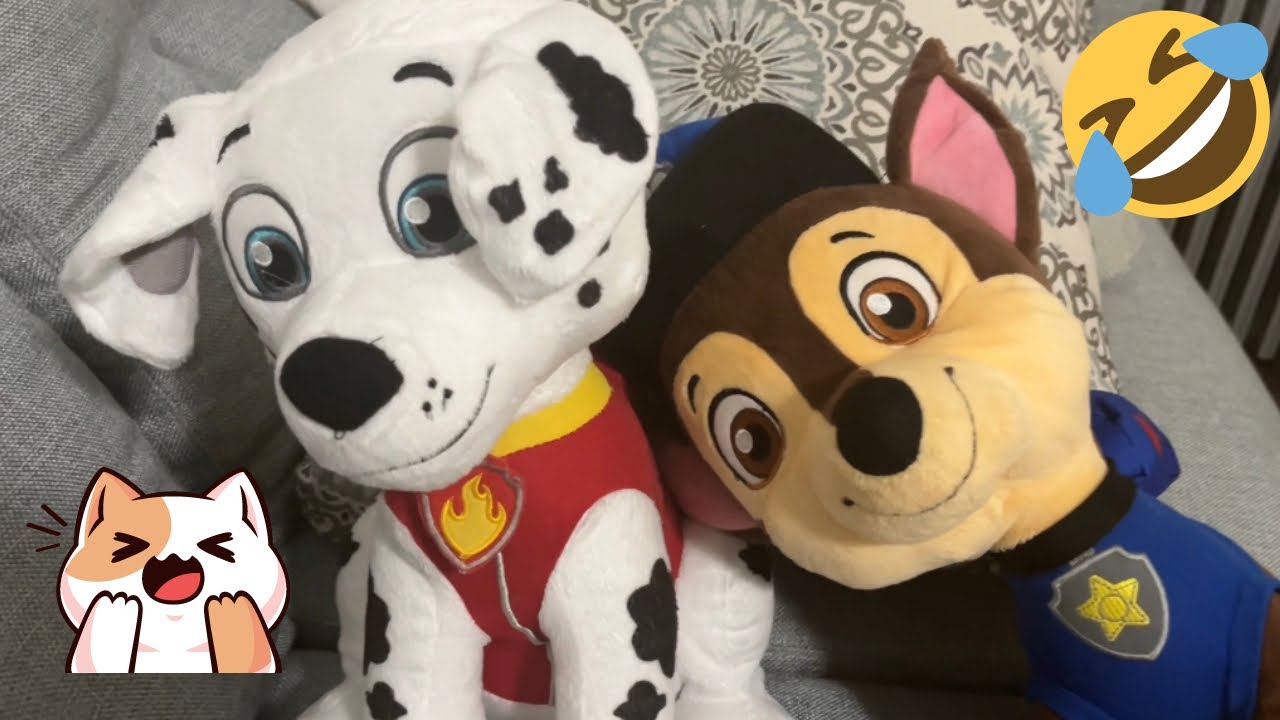 Jokes With Chase And Marshall From PAW Patrol! YouTube