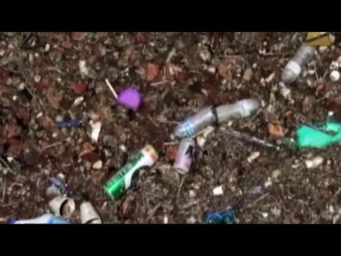 ნაგვის ლაქა წყნარ ოკეანეში