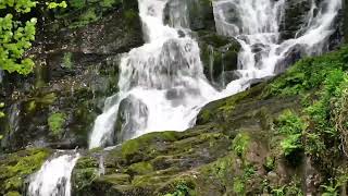 Relaxing Celtic music  Relax Mind Body  Cleanse Anxiety, Stress \& Toxins  Beautiful ambient music