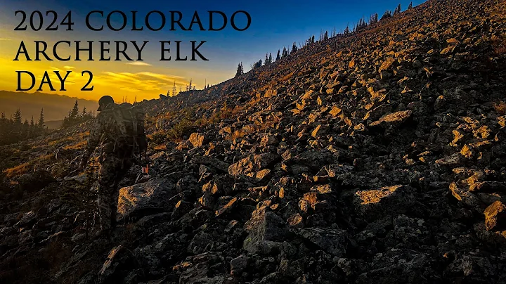 2024 Colorado Archery Elk (Day 2 "Hunting Elk Above Timberline!")
