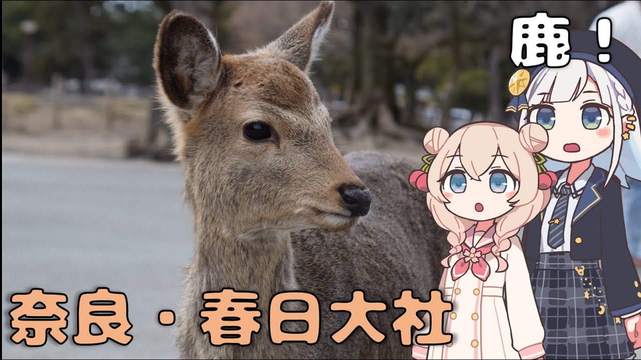 奈良公園を散策