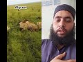 Beautiful Tillawat Quran With Amazing Voice вќ пёЏрџЋ Sheikh Mohammed Maher El Shenawy Zafranshahat Beautiful Tillawat Quran With Amazing Voice вќ пёЏрџЋ Sheikh Mohammed Maher El Shenawy Zafranshahat