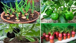 6 Things to Consider When Planning a Vegetable Garden
