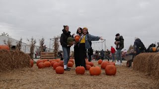 a family trip to a pumpkin farm