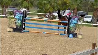 Ad ref 299602   Video 1