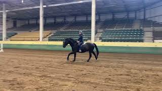 Flatwork Video