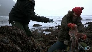 The Hunt For Elusive Octopus Alaska The Last Frontier