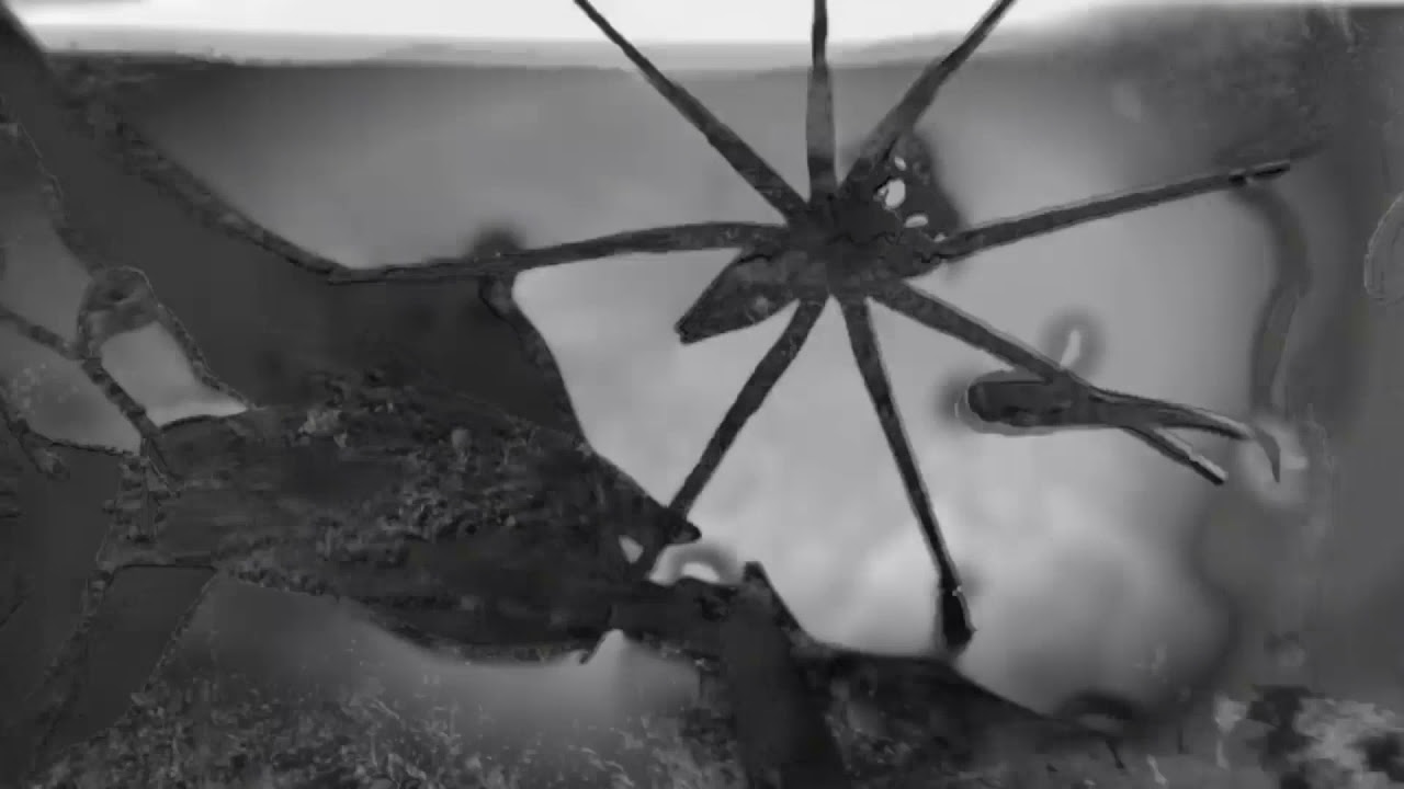 Ryuji Takeuchi - Issue 2 (Hiroaki Iizuka Remix)