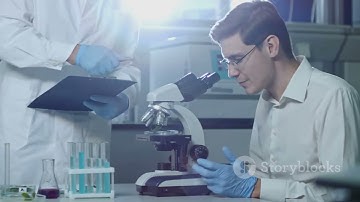 Mastering Statistics: A Comprehensive Guide