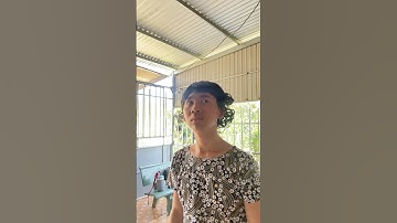 Trốn học đi chơi net tưởng êm xui ai ngờ | Nhơn Nguyễn #shorts