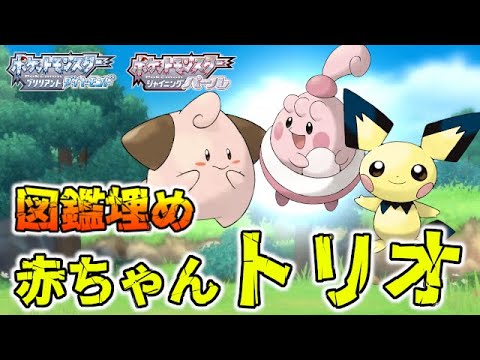 図鑑埋め ピチュー ピンプク ピィ 持ちトレーナー紹介 ポケモンbdsp ダイパリメイク Youtube