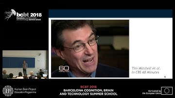 Muckli Lars - Internal models and counterfactual cognition predicting our environment