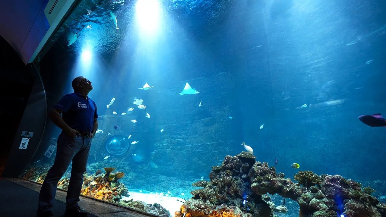 Wir sind im Tierpark Hagenbeck! Sogar Claude sieht NEUE Tiere!