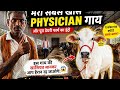 👉 “ये सफेद गाय बाकी गायों से अलग क्यों है? 😳 सच जानकर चौंक जाओगे!”#viral #youtube #dairyfarm