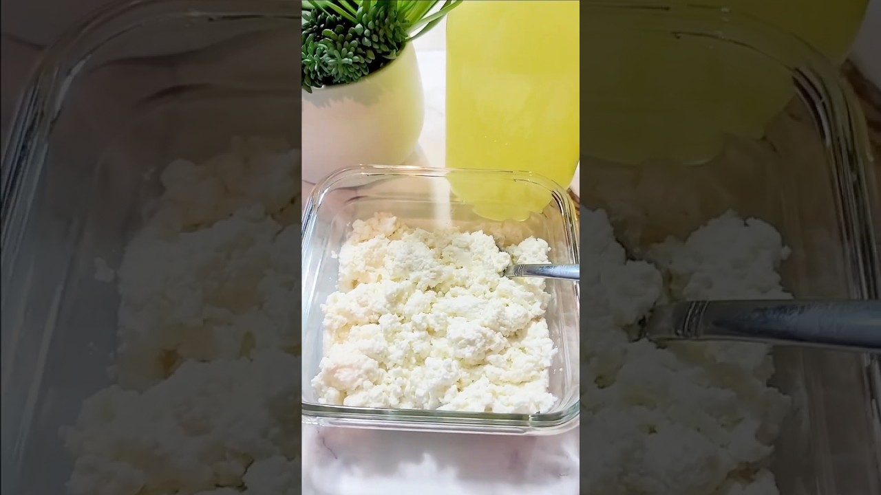 Homemade Ricotta Cheese and Whey Instant Pot Ricotta Cheese ytshorts