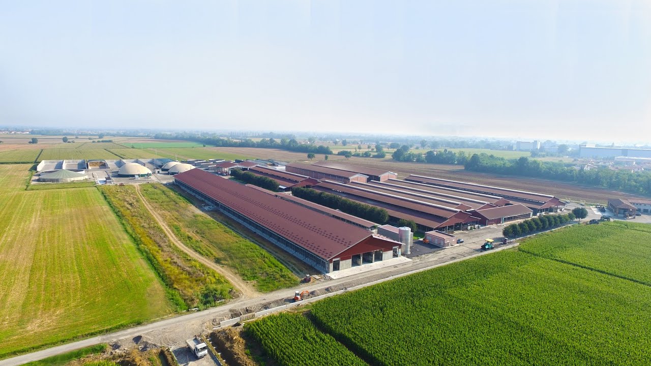 "La stalla del futuro"- Realizzato da Rota Guido l'ampliamento delle Az. Agr. Fugazza (PC)