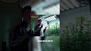 Growzelt Trick: Abluft außerhalb für besseres Klima!
