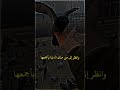 هي القناعة فالزَمْها تعش ملكاً⚘💚