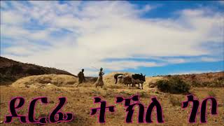 eritrean music tekle gobo werhi wetset Thumb