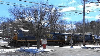Short CSX Q034 Intermodal Train Crossing Montevideo Road