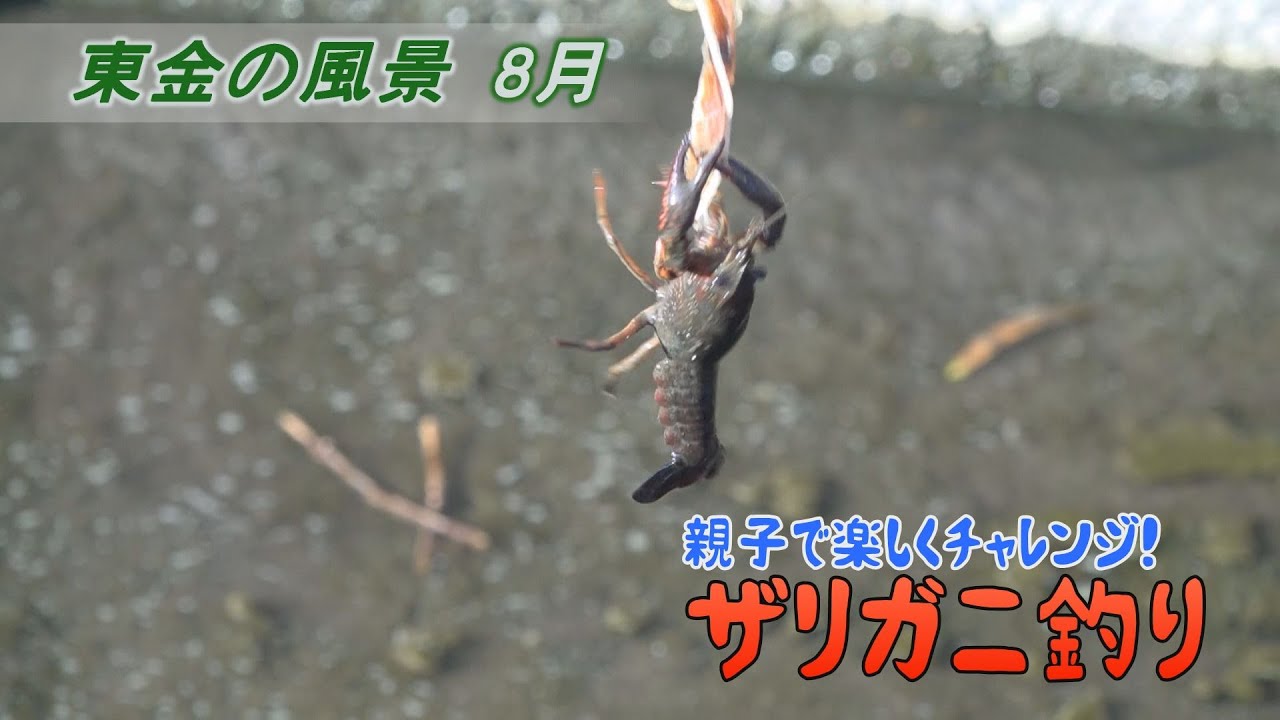 東金の風景 8月 ザリガニ釣り 東金市 堀上 Youtube 東金の風景 8月 ザリガニ釣り 東金市 堀上 Youtube