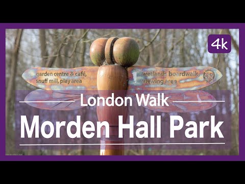 Morden Hall Park (NT) and Abbey Mills Hiking | 4k | Day Hike Monday | 🇬🇧 Hiking UK | England