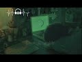 تامر عاشور  جدع بدون موسيقى حالتي