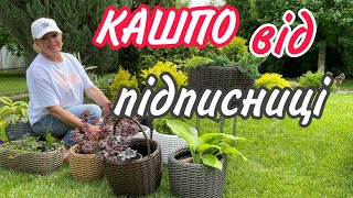 КАШПО від ПІДПИСНИЦІ.Вони неймовірні.Зі штучного ротангу.Не вигорають на сонці.Не бояться морозу.