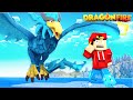 I Hatched a BLUE PHOENIX DRAGON in Minecraft..