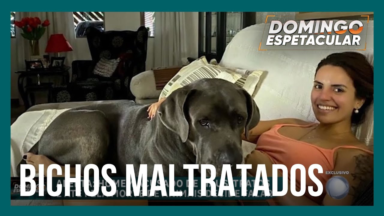 Mais tutores acusam empresa de transporte de animais de maus-tratos