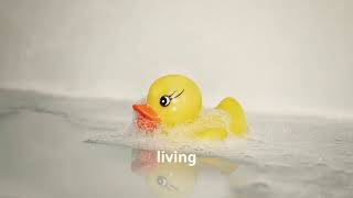 “How Rubber Ducks Accidentally Mapped the Ocean 🦆🌊 #WeirdScience #FunGeneralFacts”