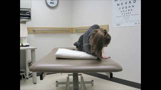 Left Epley Exercise
