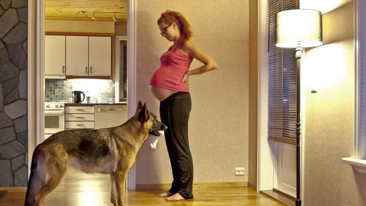 The Greatest Gift - Pregnancy time lapse - Ciąża
