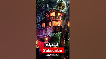 سورة القدر 🟡 انا انزلناه في ليلة القدر