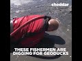 Geoducks