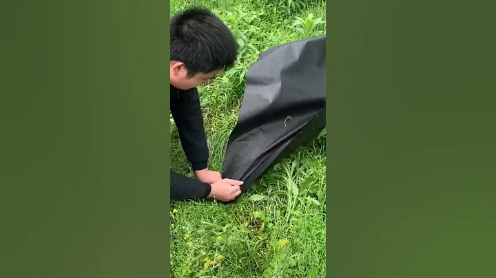 Prevent weeds from growing in the orchard，weed barrier landscape fabric