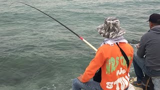 اماكن صيد سمك البوري Fishing videos and recipes
