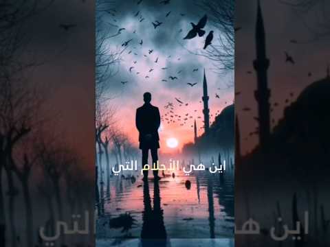"ضوء الأمل في عتمة الليل: رحلة البحث عن السعادة في وسط الألم والفقدان"