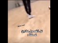كل الفصول هاديه فصلنا Wolf Team Bts كل الفصول هاديه فصلنا Wolf Team Bts