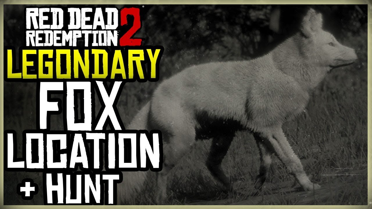 WHERE TO FIND THE LEGENDARY FOX LOCATION + HUNT - RED DEAD REDEMPTION 2 ...