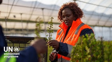 Wild, thorny, and a climate hero – the surprising benefits of South Africa’s thicket