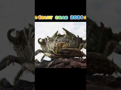Giant Crab Of Evolution #Short #Evolution