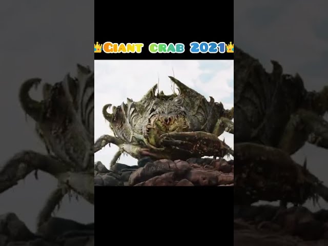 Giant Crab Of Evolution #Short #Evolution class=