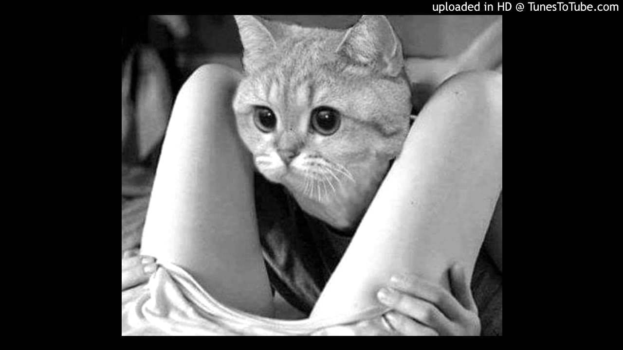 paranghelia paranghelia