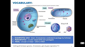 MICROBIAL GENETICS   Part 1