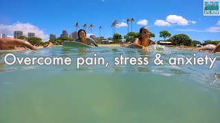 where to buy organic cbd oil near me - part 1 of dr.oz on cbd and benefits