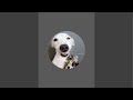 Funny man 22 is live
